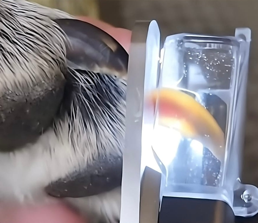 Bonmora LumaTrim Pro™ Pet Nail Clipper & Grinder